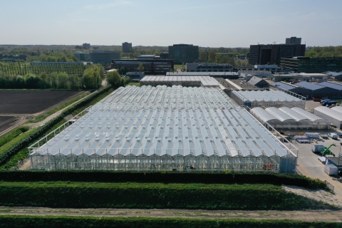 Construction of the Serre Red research greenhouse nears completion at Wageningen campus (April 2020, photo courtesy of Unifarm – Wageningen University & Research)