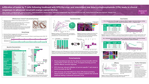 ASCO20 Virtual Program_Poster 6075_Infiltration of tumor by T cells following treatment with DPX-Survivac and intermittent low dose cyclophosphamide (CPA) leads to clinical responses in advanced recurrent ovarian cancer