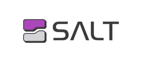 Salt Security Logo