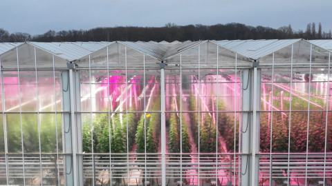 Fluence’s extended PhysioSpec™ spectra enable growers to optimize lighting strategies for any crop in any growth stage or geographic location. (Photo courtesy of Fluence by OSRAM) (Photo: Business Wire)