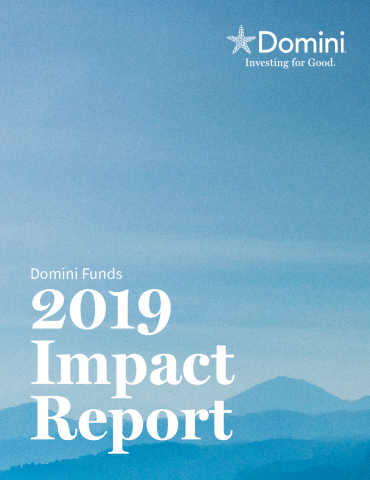 Domini Funds 2019 Impact Report (Photo: Business Wire)
