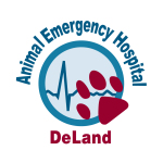 AEHD-Logo.jpg
