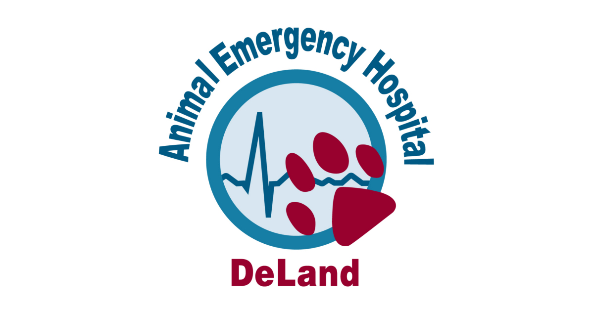 Animal Emergency Hospital DeLand Breaks Ground on New State of the Art 24/7  Facility | Business Wire