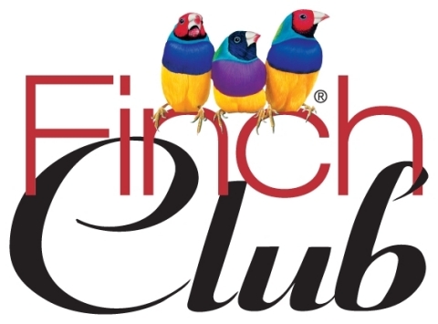 ViewSonic Corp. Logo