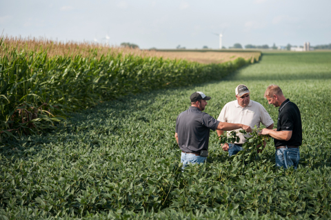 Grower and sales reps in soybean field next to corn field. (Photo: Business Wire)