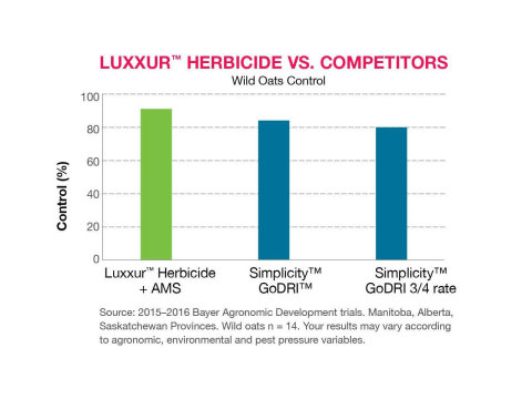 Figure 1: The Impact of Luxxur™ Herbicide on Wild Oat (Photo: Business Wire)