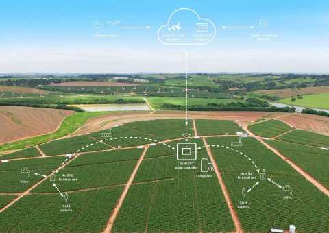 The addition of Sentek to the Netafim digital farming portfolio gives growers the ability to customize their digital farming solutions according to their needs. From monitoring-only platforms to complete end-to-end cloud-based automation and control solutions that provide actionable insights. Netafim's offerings allows growers the ability to gradually "scale-up" their investment in digital farming a needed. (Graphic: Business Wire)