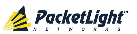 PacketLight Networks Logo
