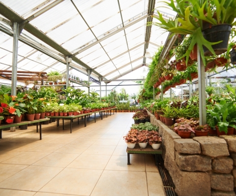Retail garden center (Photo: Business Wire)