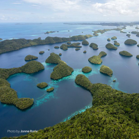 thumbnail Palau, Philippines, photo credit Jonne Roriz