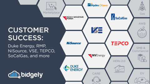 Bidgely UtilityAI platform serving millions of new homes worldwide in 2020, with numerous new utility and energy retailer partners leveraging artificial intelligence platform solutions. (Graphic: Business Wire)
