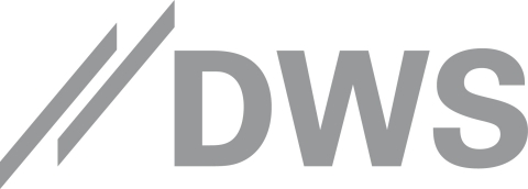 DWS Group Logo