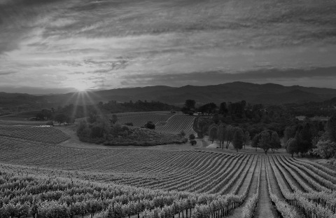 original (Photo: Business Wire)