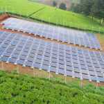 REDAVIA_Solar_Farm_at_Menengai_Team_Farm.jpg