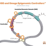 IGD_and_Omega_Epigenomic_Controllers.jpg