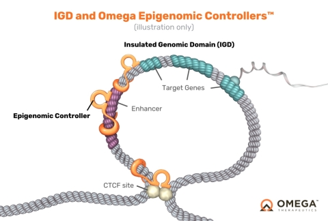 original Precision Genomic Control™ delivered through epigenomic programming. Omega’s novel engineered therapeutics, called Epigenomic Controllers, target optimal genomic loci with high specificity to deliver the required potent and durable therapeutic effect to precisely modulate or tune single or multiple genes, up or down, to unleash the human genome’s innate capacity to cure disease without altering native genomic nucleic acid codes. (Photo: Business Wire)