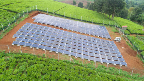original REDAVIA Solar Farm at Menengai Tea Farm (Photo: Business Wire)