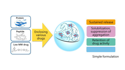 thumbnail Key functions of HA nanogel (Graphic: Business Wire)
