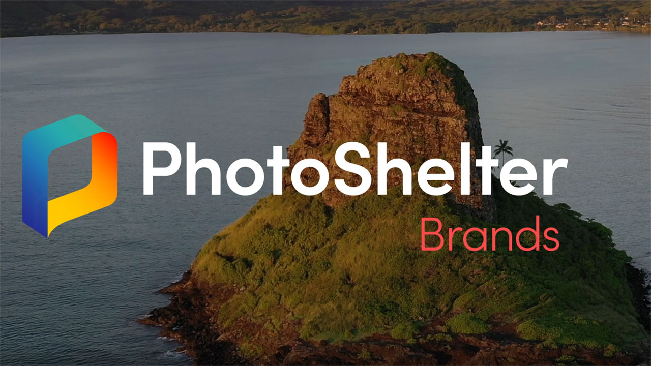 New PhotoShelter AI is set to revolutionize social media workflow