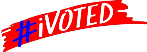 #iVoted Logo