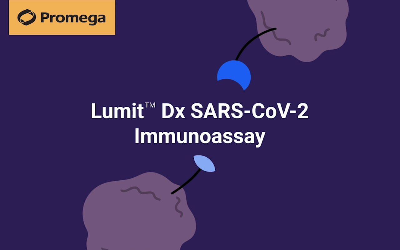 The new Promega Lumit Dx SARS-CoV-2 Immunoassay offers clinical and public health labs simple and fast antibody detection. Performed at room temperature, the assay requires no wash steps and can go from sample to answer in under an hour.