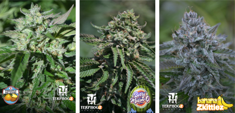 Zkittlez™ - Award Winning Strains (Photo: Business Wire)