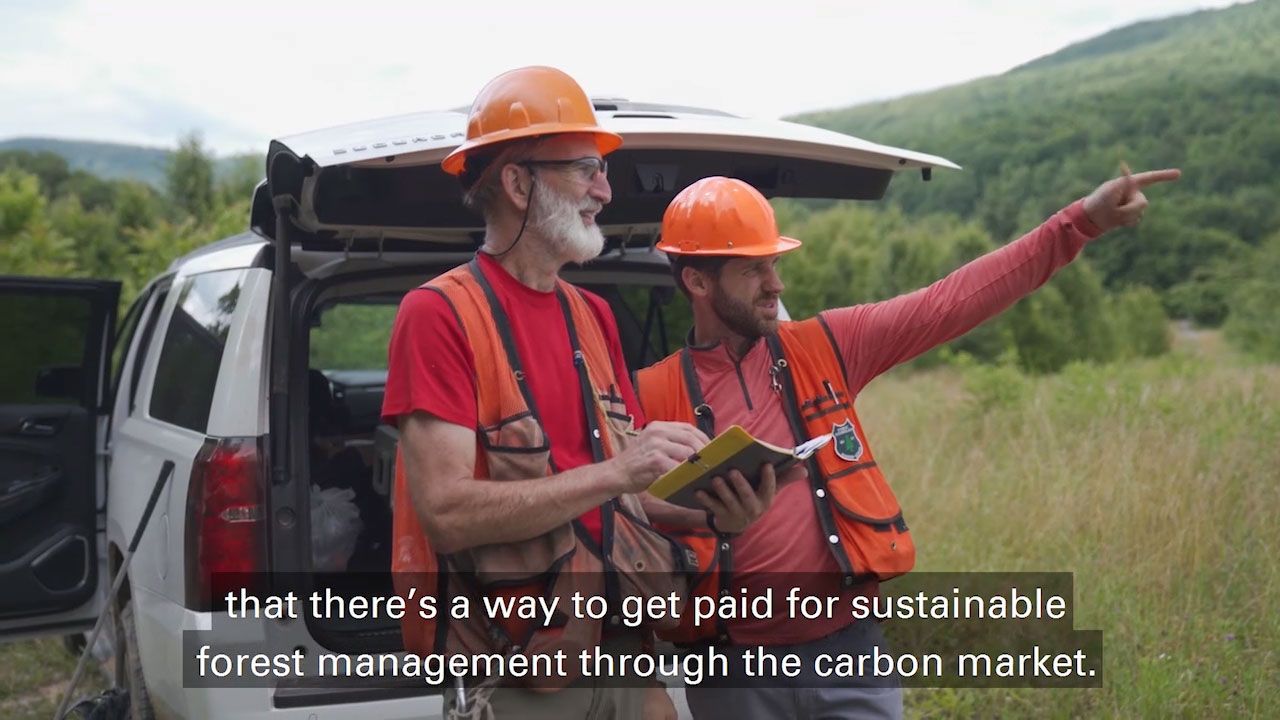 Finite Carbon launches new platform supporting small landowners