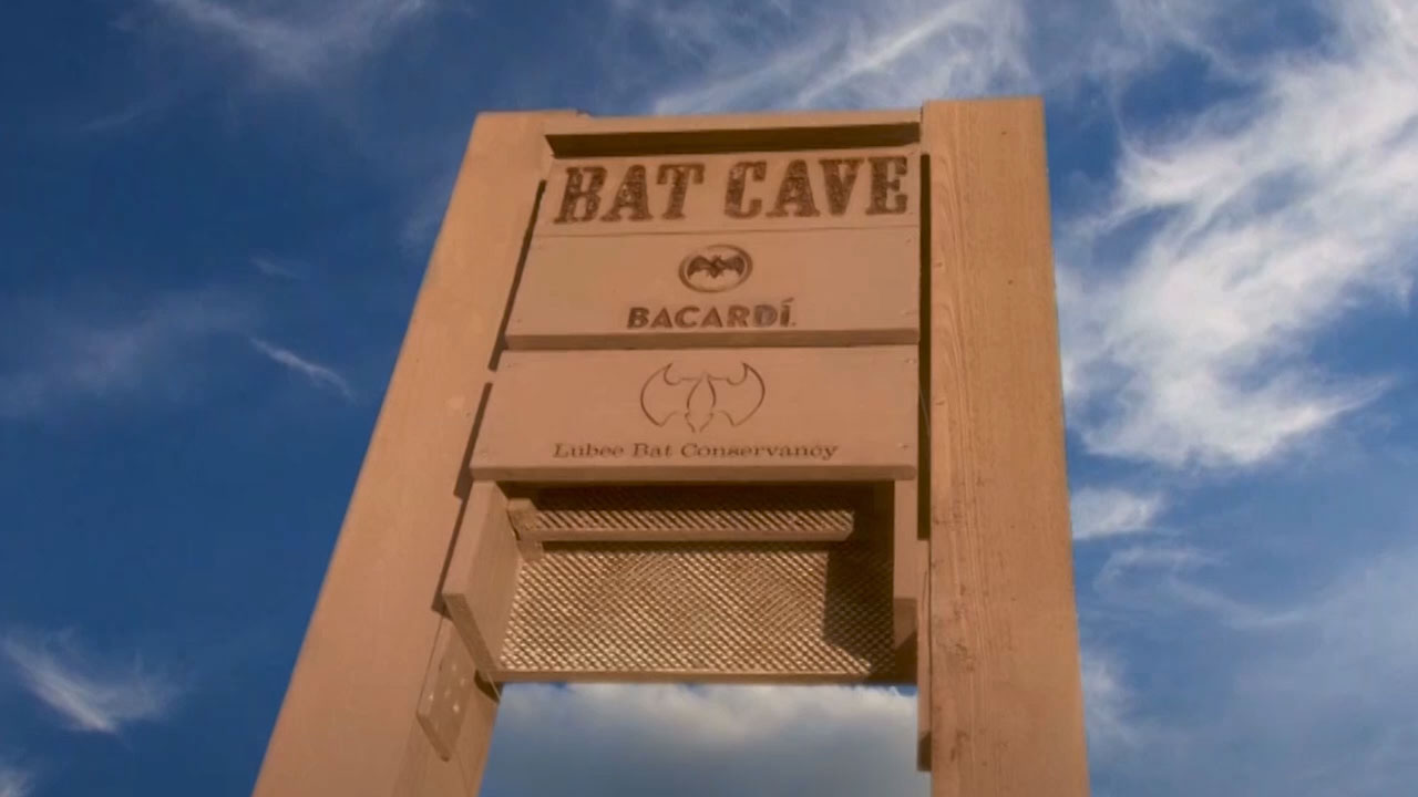 thumbnail Bacardi volunteers help care for a 21-acre wildlife habitat at the company's bottling site in Jacksonville, FL. 