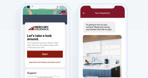 Mercury Insurance now offers a DIY inspection services app for homeowners in New York and New Jersey to minimize in-person home visits when assessing a property. (Photo: Business Wire)