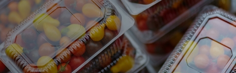 original FP Corporation Switches to Rimini Street Support for its SAP Applications (Photo: Business Wire)