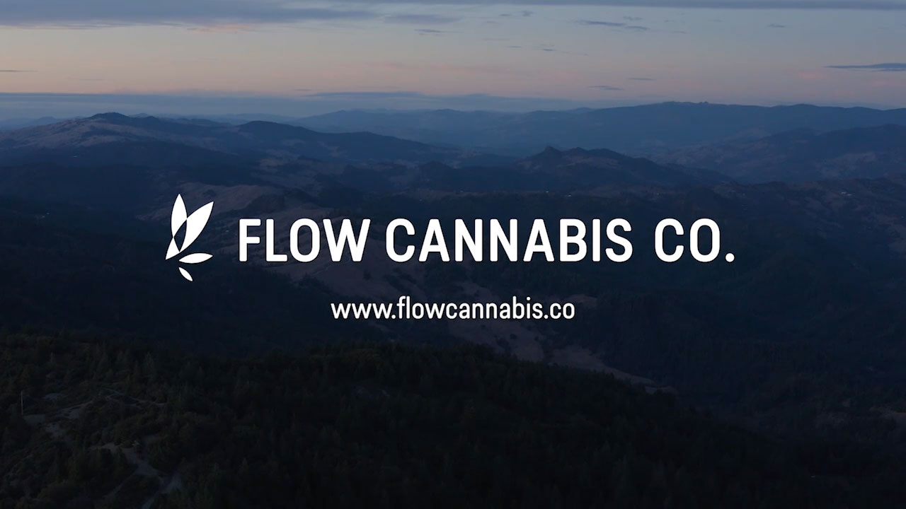 The Evolution of Flow Cannabis Co.