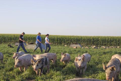 Thanks to initiatives like the Next Generation Foundation's scholarship program, the average age of a Niman Ranch farmer is 43, 15 years younger than the national average. (Photo: Business Wire)