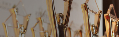 thumbnail Rimini Street Wins Gold Stevie® Awards for Company of the Year and Employer of the Year (Photo: Business Wire)