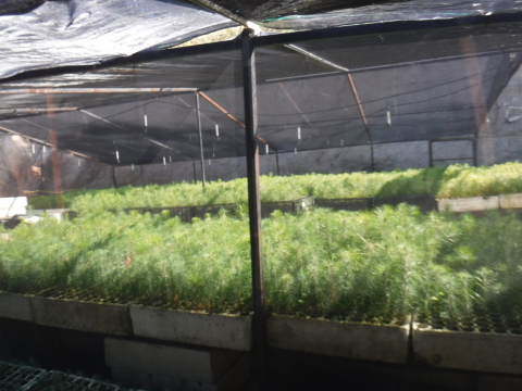 MARY KAY INC. APOYA UN PROYECTO LIDERADO POR MUJERES EMPRENDEDORAS PARA MEJORAR LA SEGURIDAD DEL AGUA EN MONTERREY JUNTO A LA ORGANIZACIÓN THE NATURE CONSERVANCY
