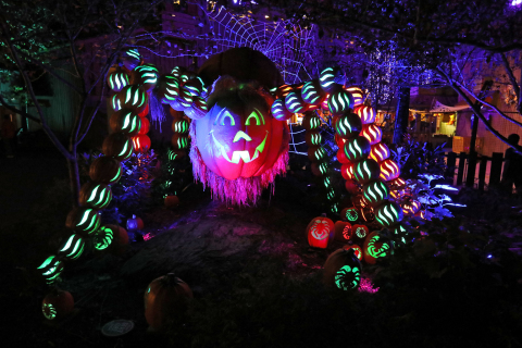 Dollywood's Great Pumpkin LumiNights presented by Covenant Health features a number of impressive displays, including this giant spider made of pumpkins. Dollywood's Harvest Festival presented by Humana takes place Sept. 25-Oct. 31. (Photo: Business Wire)