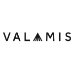 valamis-logo-black-rgb_%281%29.jpg