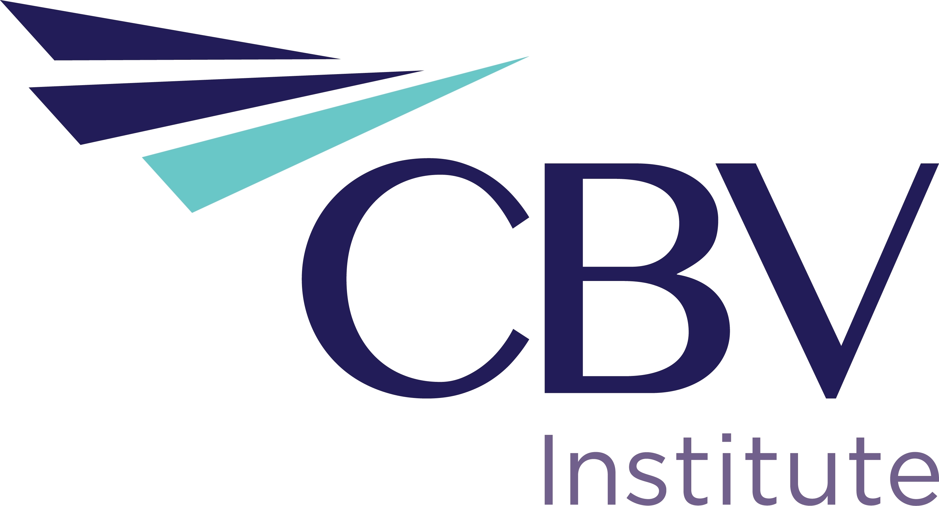 Cbv Institute Appoints New President And Ceo Business Wire