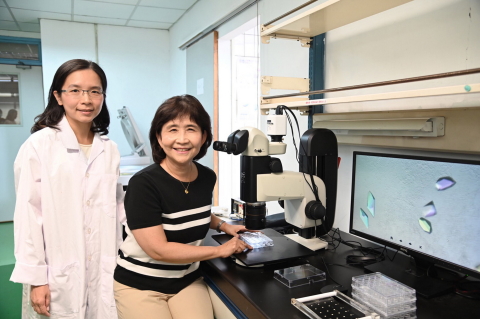 Professor Sun Yuh-Ju of the Institute of Bioinformatics and Structural Biology showing team member Tsai Jia-Yin how to grow a crystal. (Photo: Business Wire)