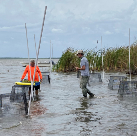 Yamaha Rightwaters helped AquaTech Eco Consultants secure a 200-horsepower four-stroke outboard to power their 24-foot Carolina Skiff used for habitat restoration projects in Florida. (Photo: Business Wire)