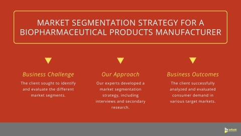 original Market Segmentation Strategy for a Biopharmaceutical Products Market Client (Graphic: Business Wire)