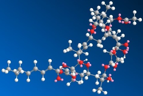(Photo credit: BryoLogyx, Inc.) DANVILLE, CA (October 13)—BryoLogyx, Inc. announced today that it has chemically-synthesized the bryostatin-1 molecule (above) under FDA’s Good Manufacturing Practice (GMP) regulations. Its manufacture is in preparation for clinical trials to study its potential to improve the response to cancer immunotherapies and additional preclinical research. The molecule was originally sourced from a marine invertebrate organism by the NCI. Bryostatin-1 is a potent, highly complex macrolide that had proved nearly intractable to chemically synthesize. The manufacture was based on a fully synthetic process developed at Stanford University by Dr. Paul Wender and colleagues www.bryologyx.com.