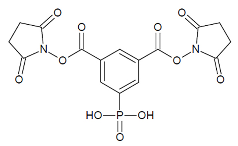 Figure 3: The structure of the PhoX crosslinker developed at the University of Utrecht by Albert Heck and Richard Scheltema. The phosphonate group that enables enrichment of the crosslinked peptides is at the bottom center of the structure. (Graphic: Business Wire)