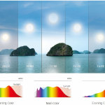 ソウル半導体の自然光LED「SunLike」、子供たちの学習向上と視力保護を目的とし、欧州幼稚園の照明に採用