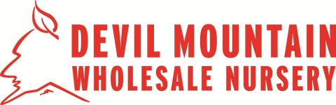 Devil Mountain Wholesale Nursery Logo