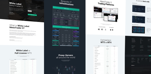 thumbnail B2BrokerのMetaTrader 5ホワイトラベル・ソリューションを紹介する新ウェブサイトのスクリーンショット（写真：ビジネスワイヤ）