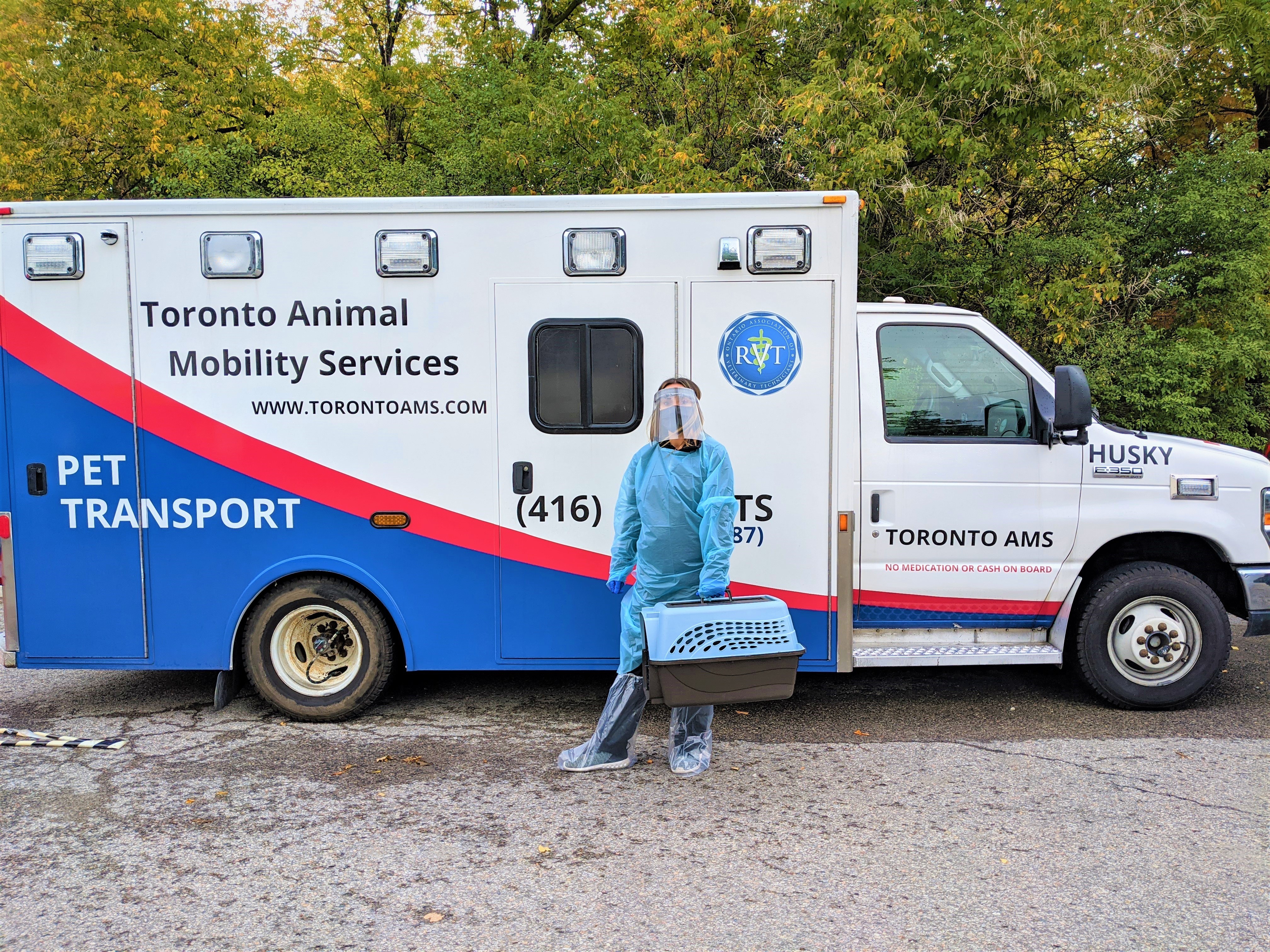 Toronto AMS – Toronto's First Emergency Pet Transport Service – Helping Pet  Owners Navigate Pet Emergencies in a COVID-19 World | Business Wire