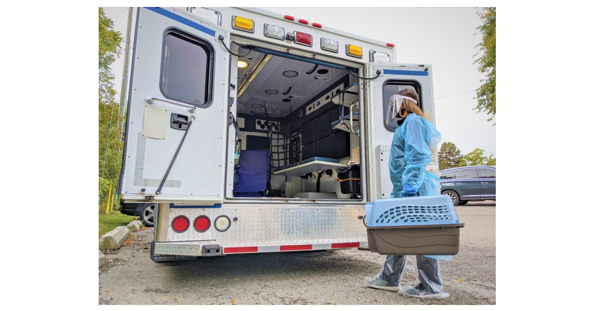 Toronto AMS Toronto’s First Emergency Pet Transport Service Helping