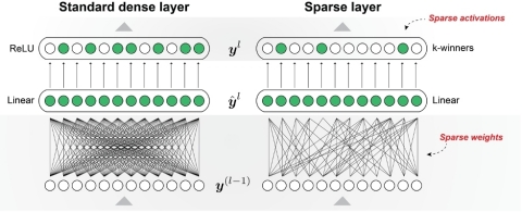 Numenta’s sparse network makes two modifications to a standard deep learning layer, utilizing both sparse weights and sparse activations. The end result is a sparse network that more closely mimics the brain. (Graphic: Business Wire)