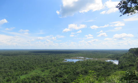 original AgroAmerica ranked in the top 10 out of 100 palm oil producers, processors, and traders on the public disclosure of their policies, operations, and commitments to environmental, social, and governance (ESG) best practice, in the results published by the renowned SPOTT Transparency evaluation. On the image, one of the most notable AgroAmerica's conservation project, The Maya Biosphere Conservation Project, that promotes the protection of 19,000+ hectares of land and the biodiversity of the area. (Photo: Business Wire)