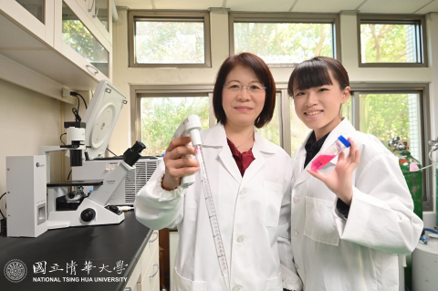 Professor Wang Wen-ching (left) of the Institute of Molecular and Cellular Biology and Dr. Tseng Linlu researching a new treatment for gastric cancer. (Photo: National Tsing Hua University)